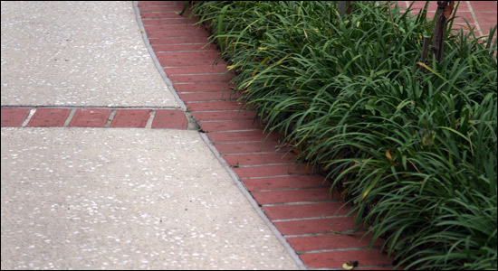 Turf Plus Decorative Concrete Designs