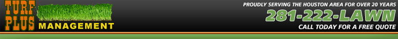Click to return to Homepage
