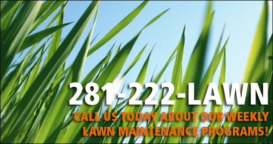 Houston Yard Service - Call Turf Plus Today